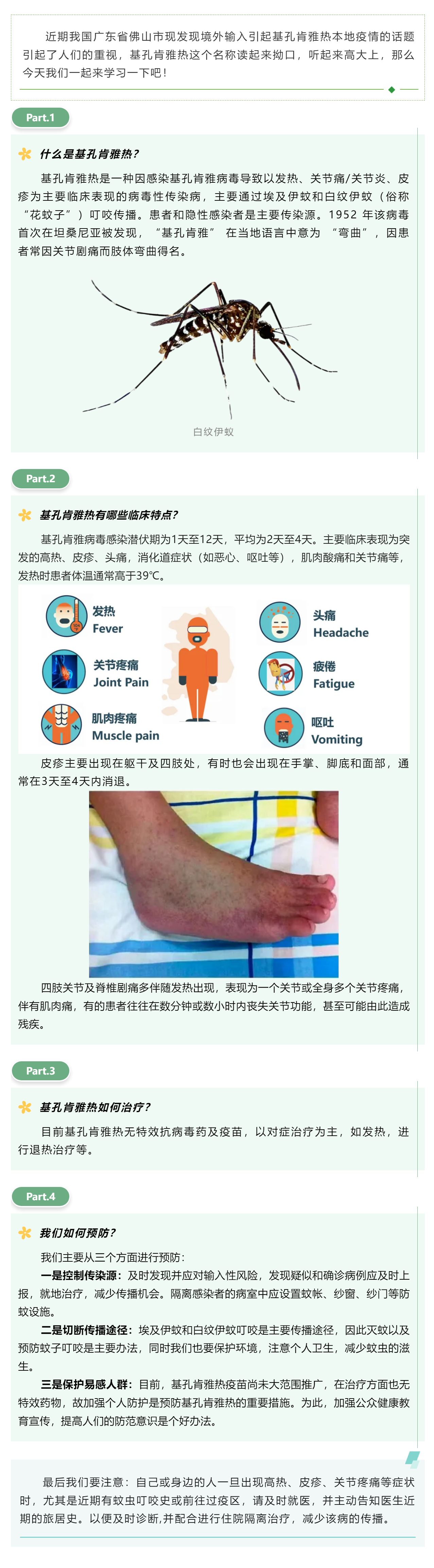 基孔肯雅熱，你讀“順”了嗎？.png